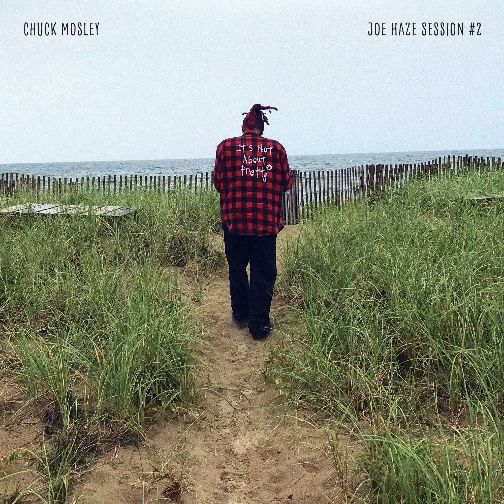 Album cover for “Joe Haze Session #2” by Chuck Mosley