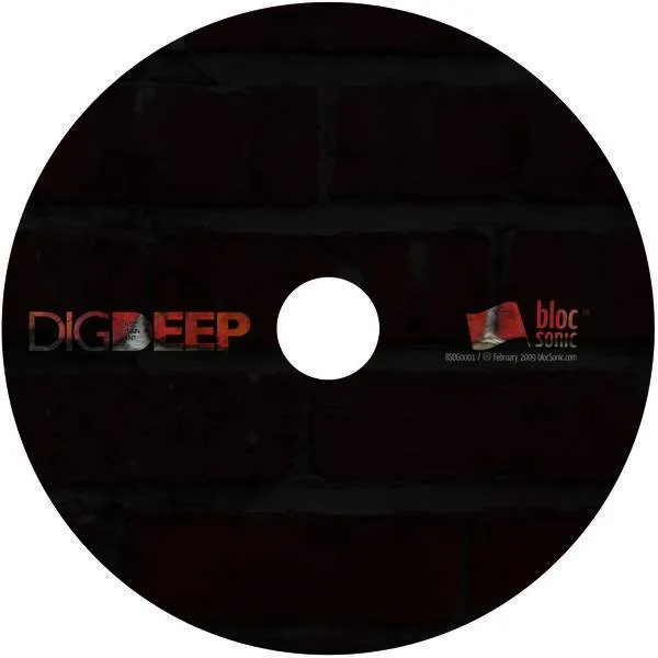 Album Disc for “Dig Deep” by Just Plain Ant