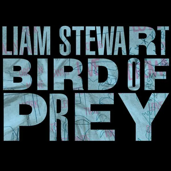 Album cover for “Bird Of Prey” by Liam Stewart