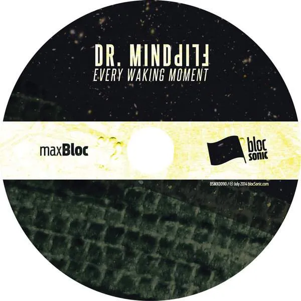 Album disc for “Every Waking Moment” by Dr. Mindflip
