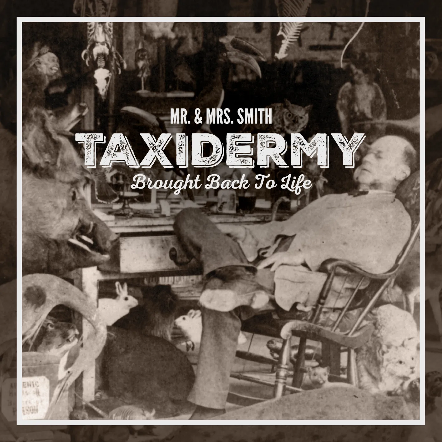 Album cover for “Taxidermy: Brought Back To Life” by Mr. &amp; Mrs. Smith