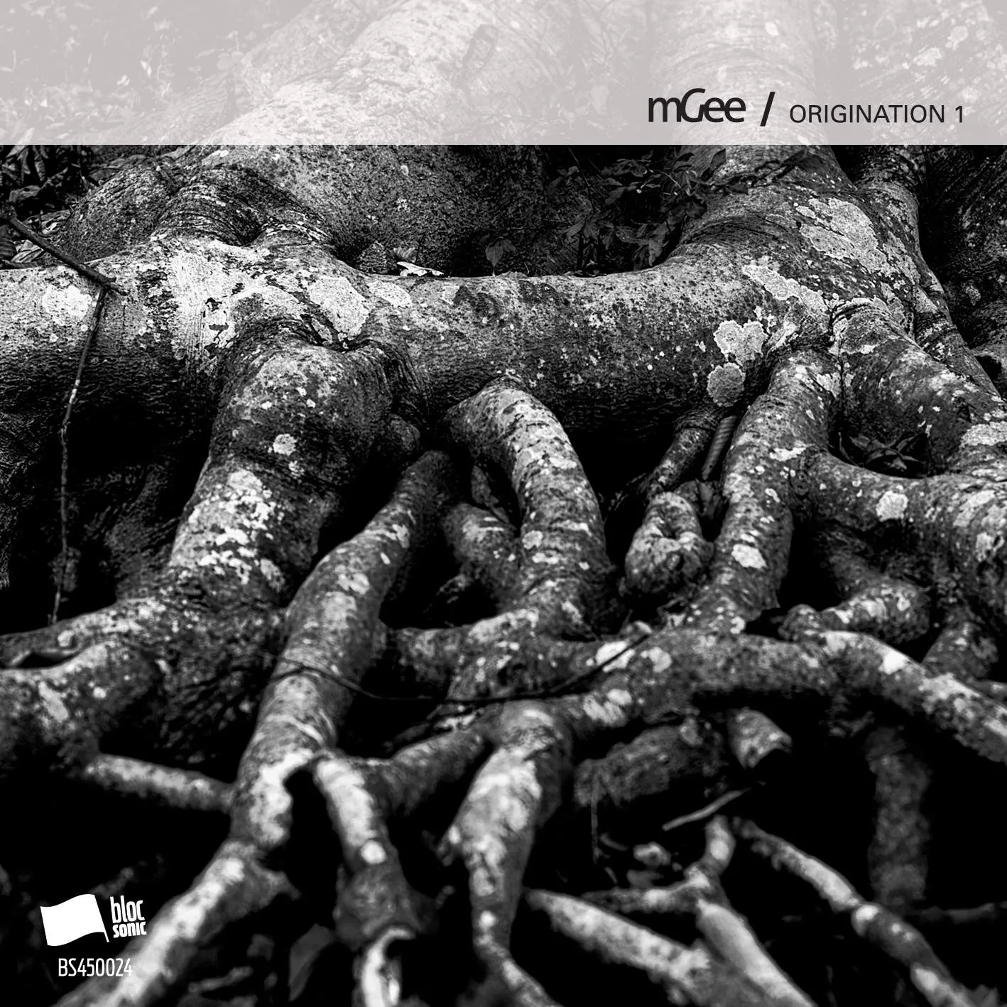 Album cover for “Origination 1” by mGee