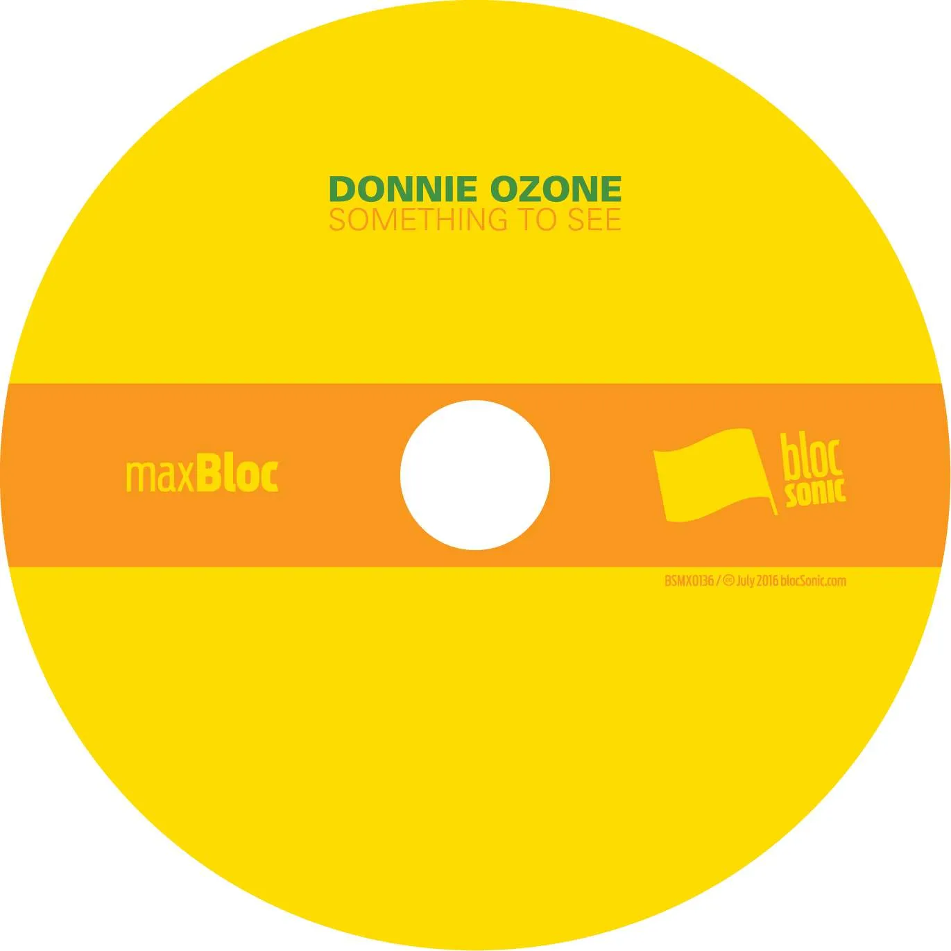 Album disc for “Something To See” by Donnie Ozone