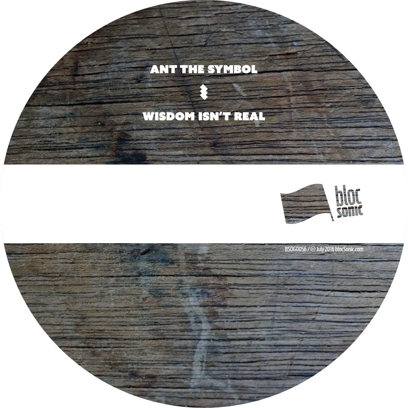 Album disc for “Wisdom Isn't Real” by Ant The Symbol