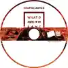 Album disc for “What Does It Mean?” by Graphic Antics