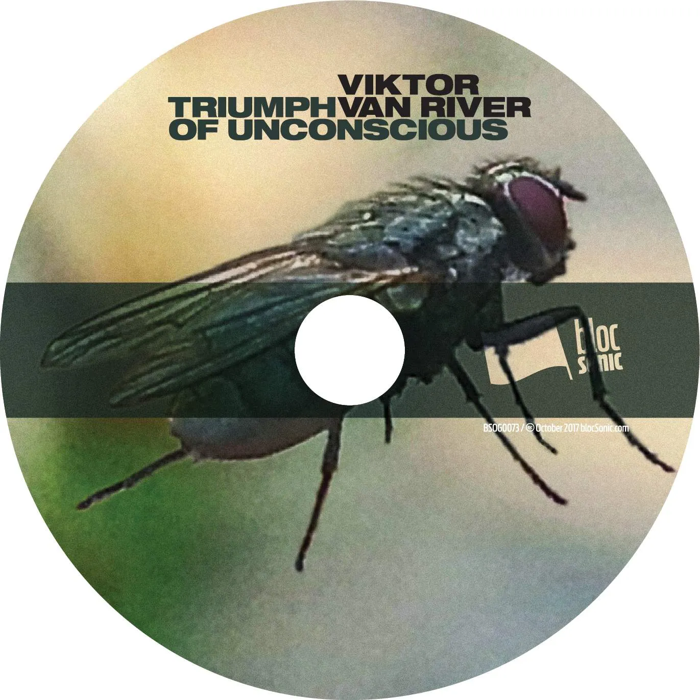Album disc for “Triumph Of Unconscious” by Viktor Van River