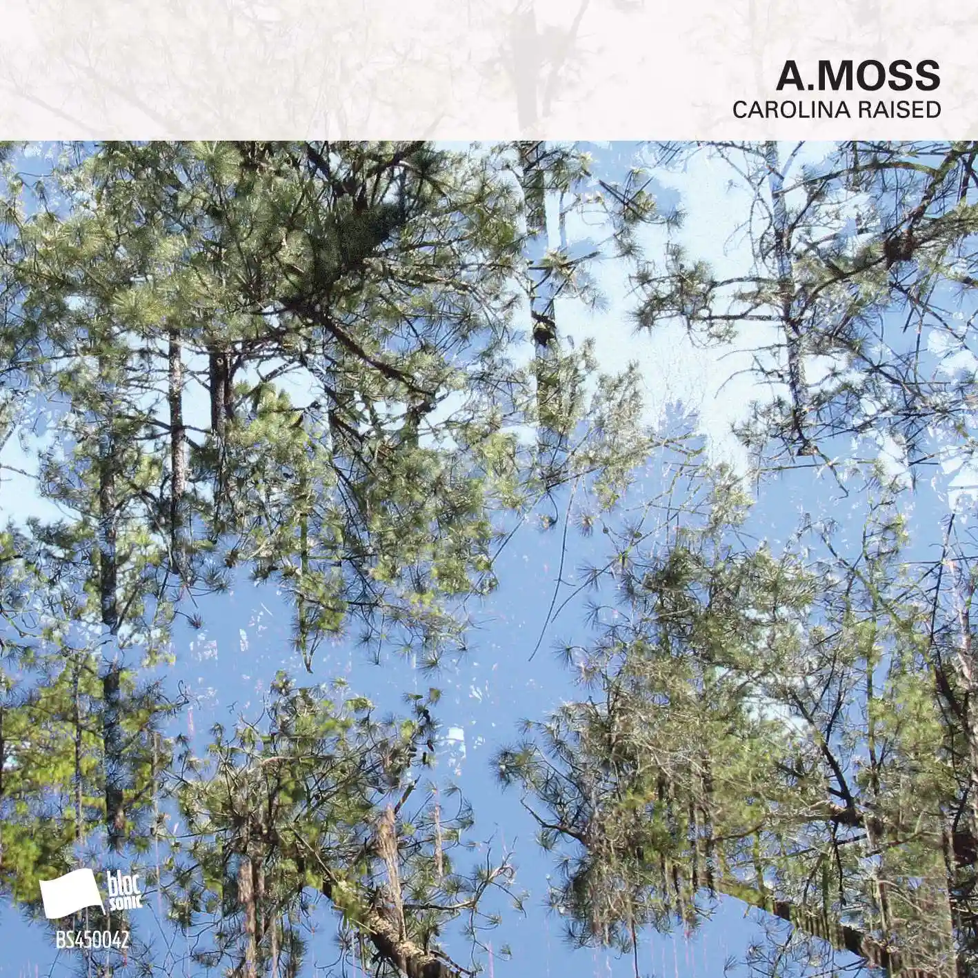 Album cover for “Carolina Raised” by A.Moss