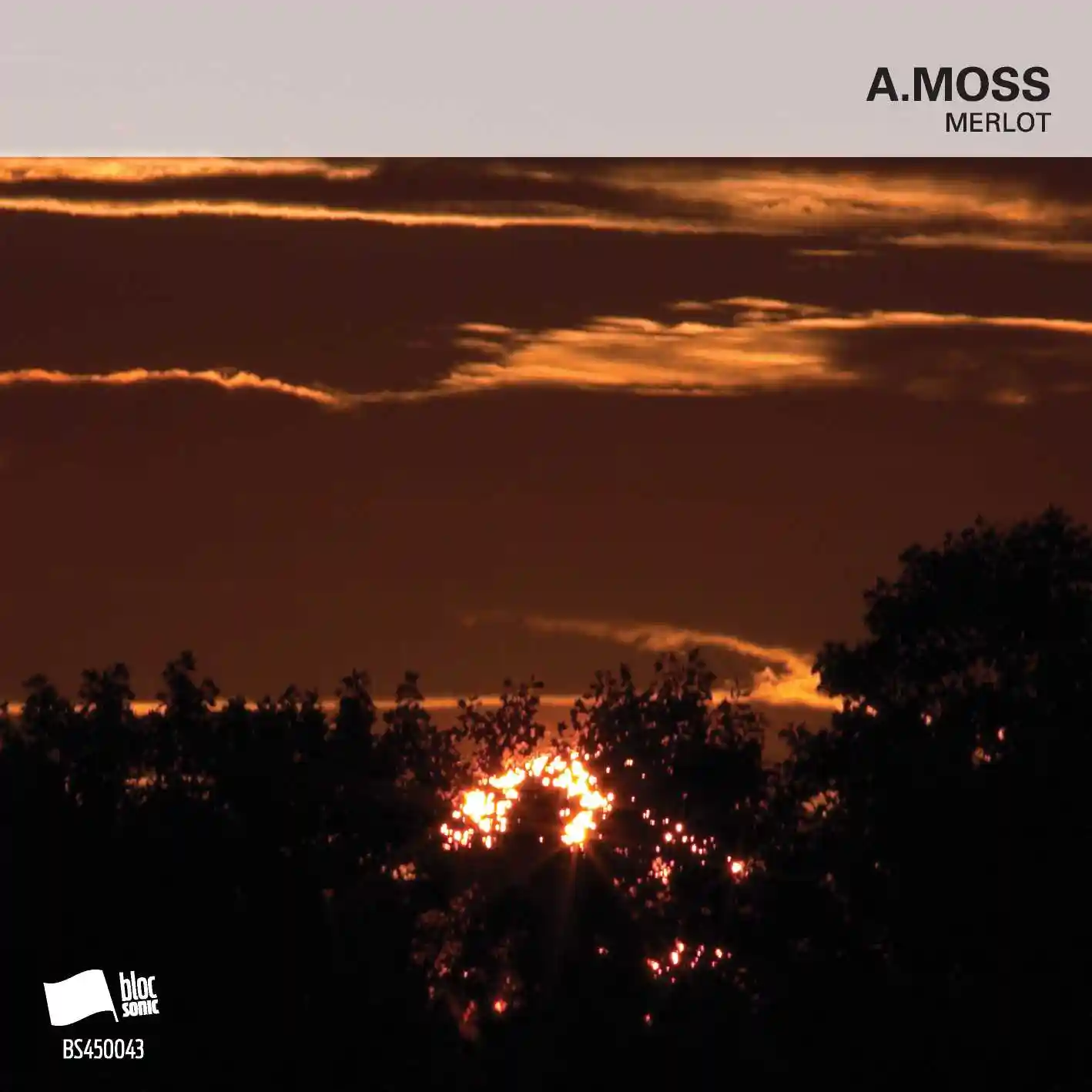 Album cover for “Merlot” by A.Moss