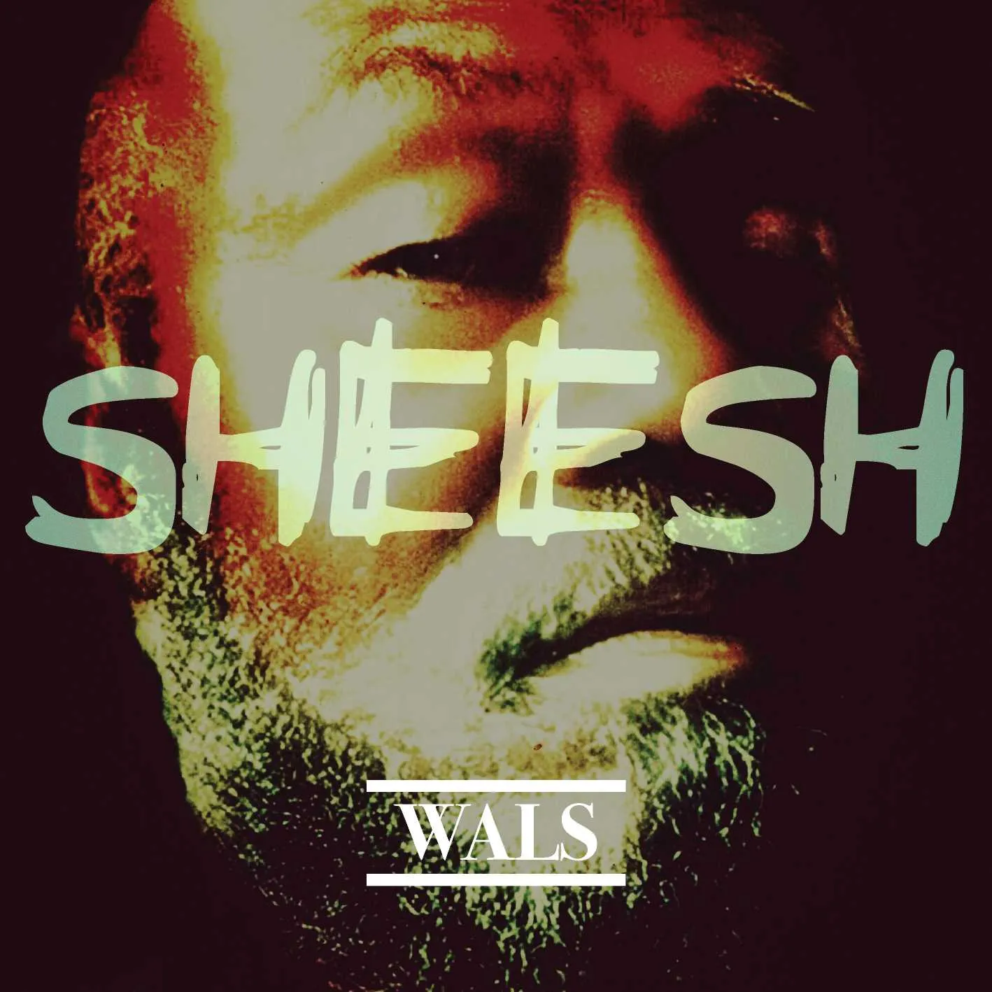 Album cover for “SHEESH” by Wals