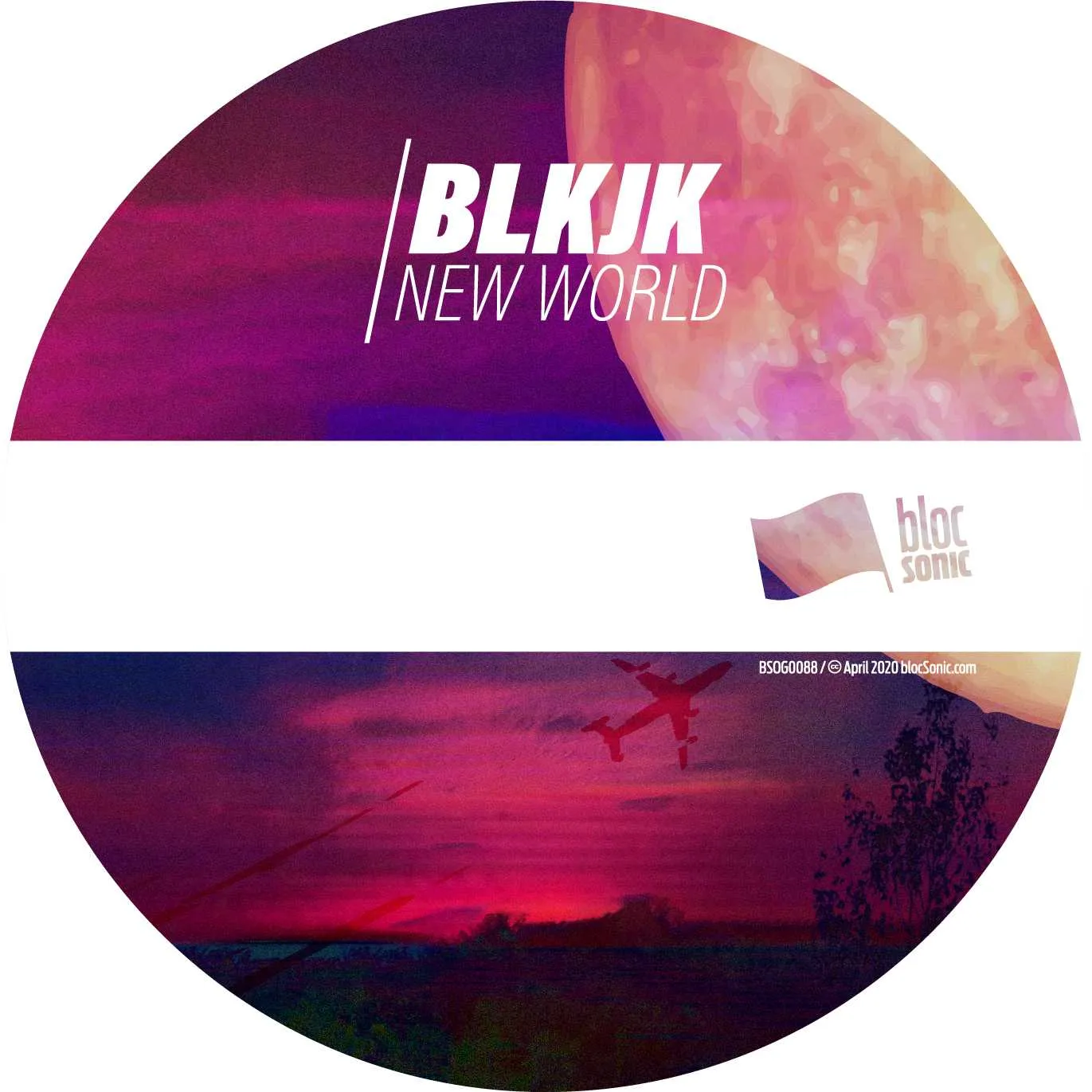 Album disc for “New World” by BLKJK
