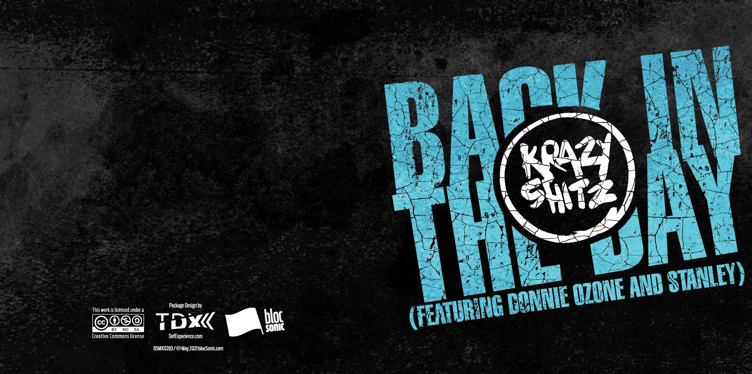 Album insert for “Back In The Day (Featuring Donnie Ozone and Stanley)” by Krazy Shitz