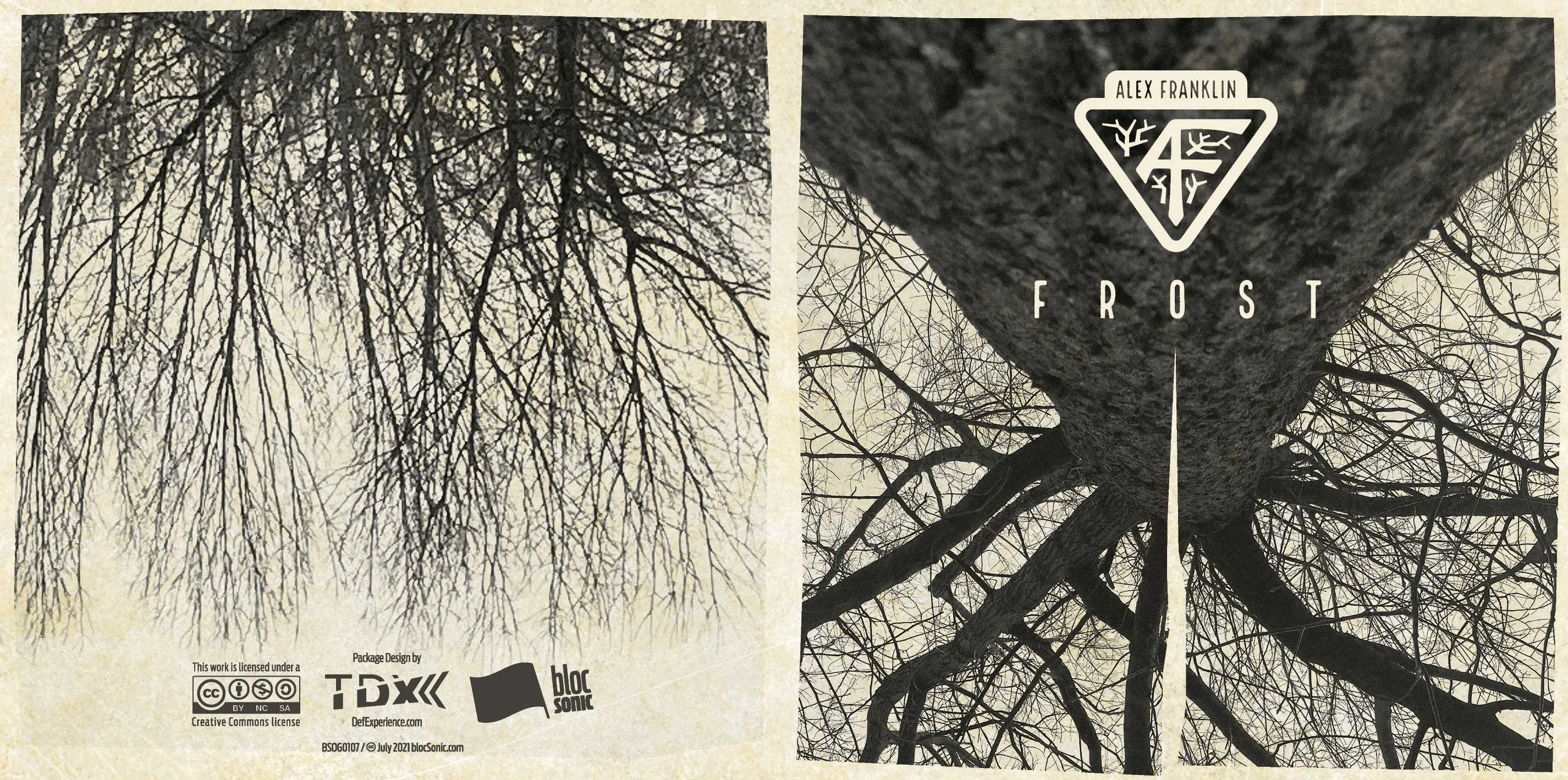 Album insert for “FROST” by Alex Franklin