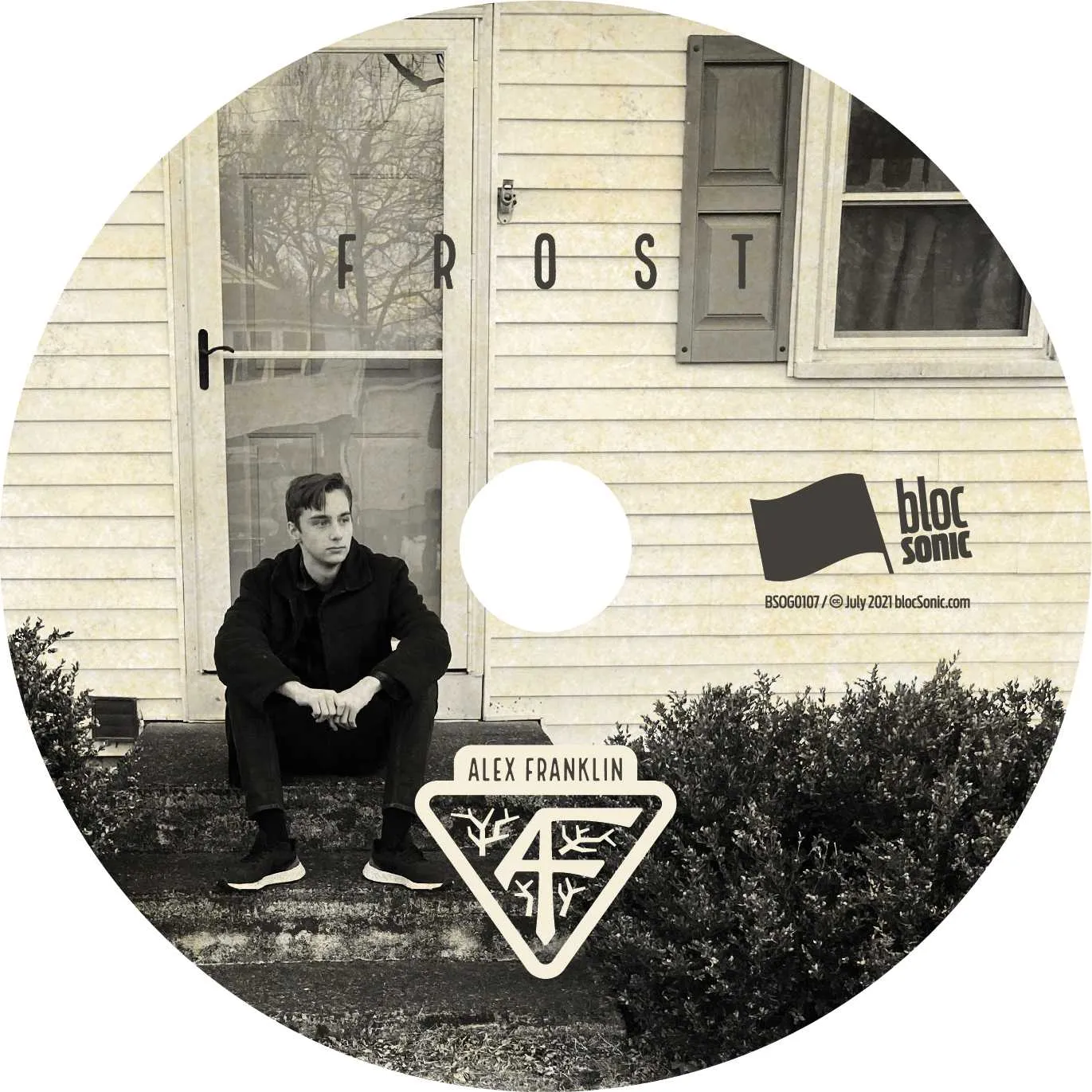 Album disc for “FROST” by Alex Franklin