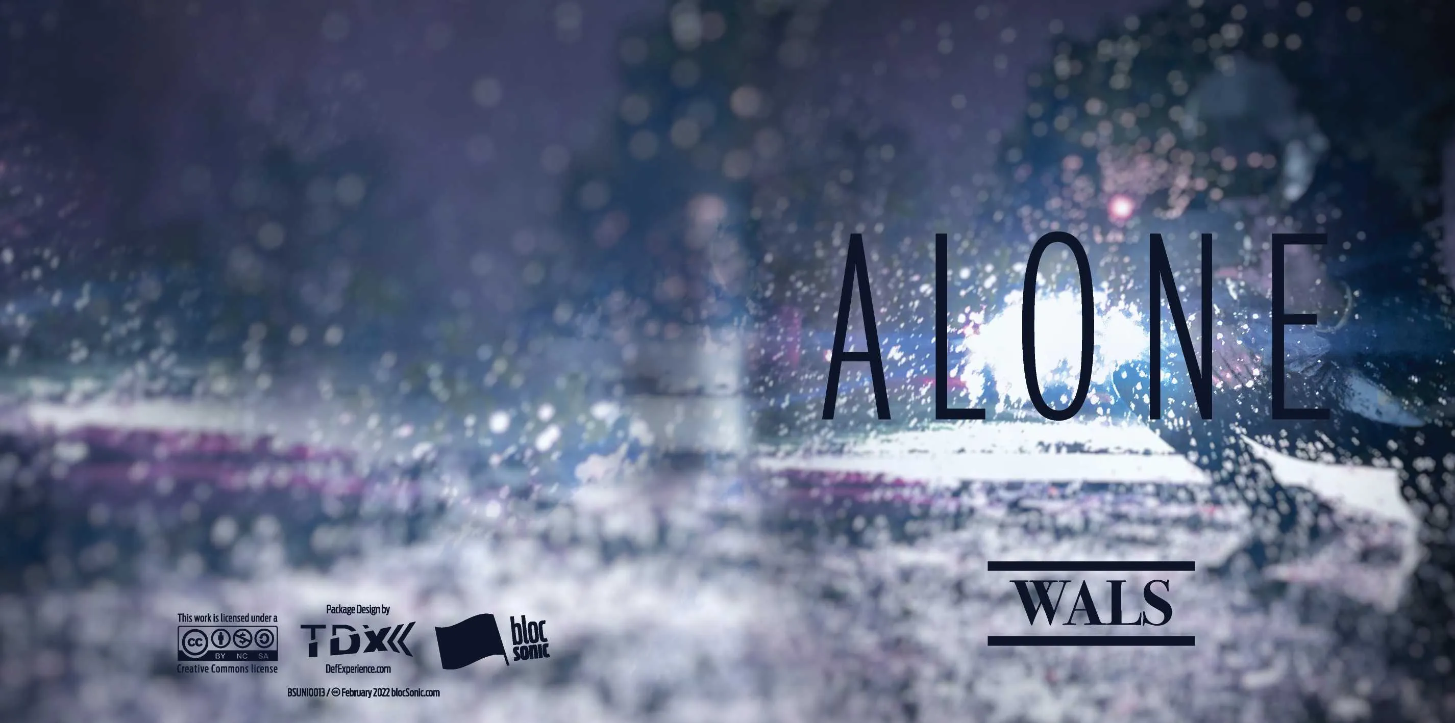 Album insert for “Alone” by Wals