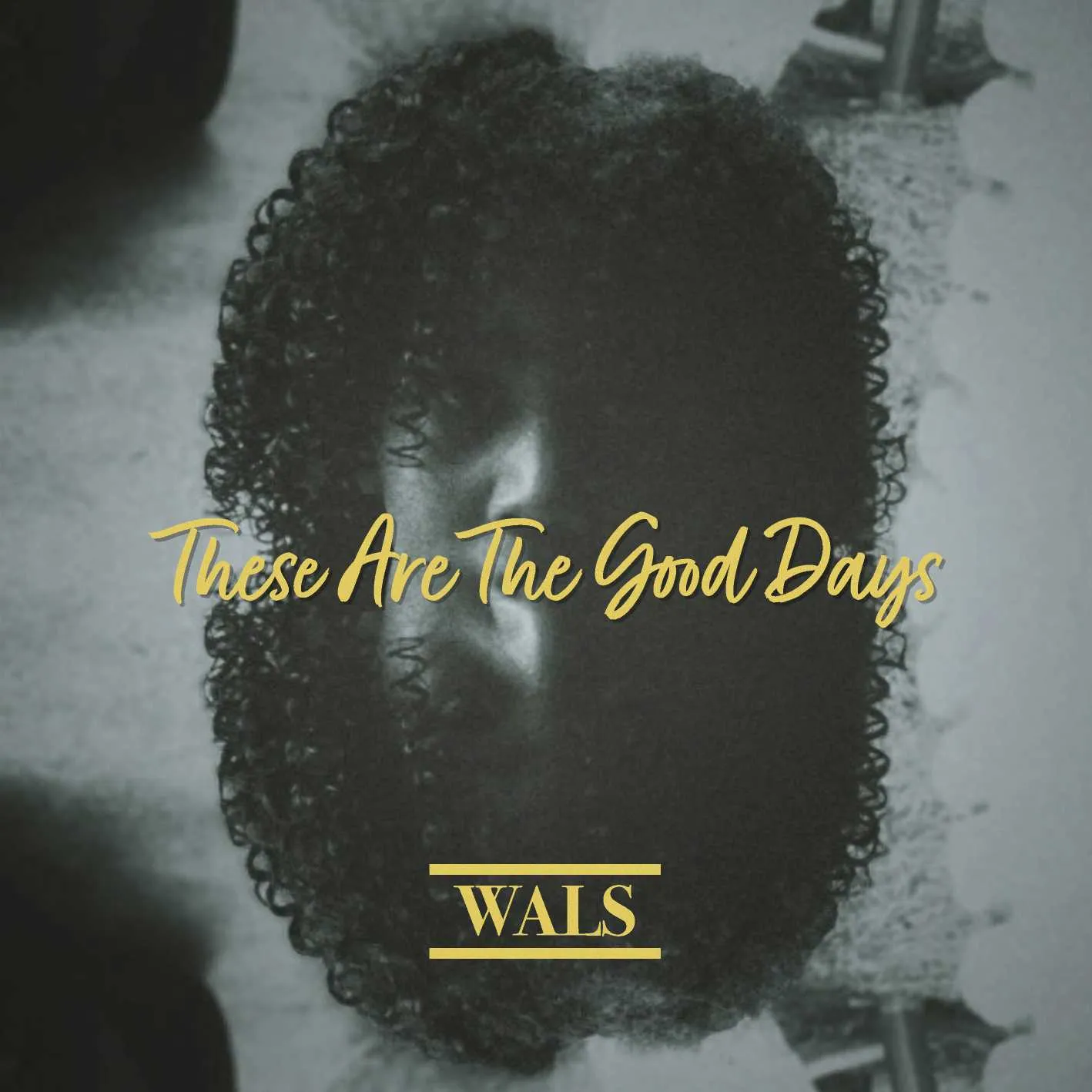Album cover for “These Are The Good Days” by Wals