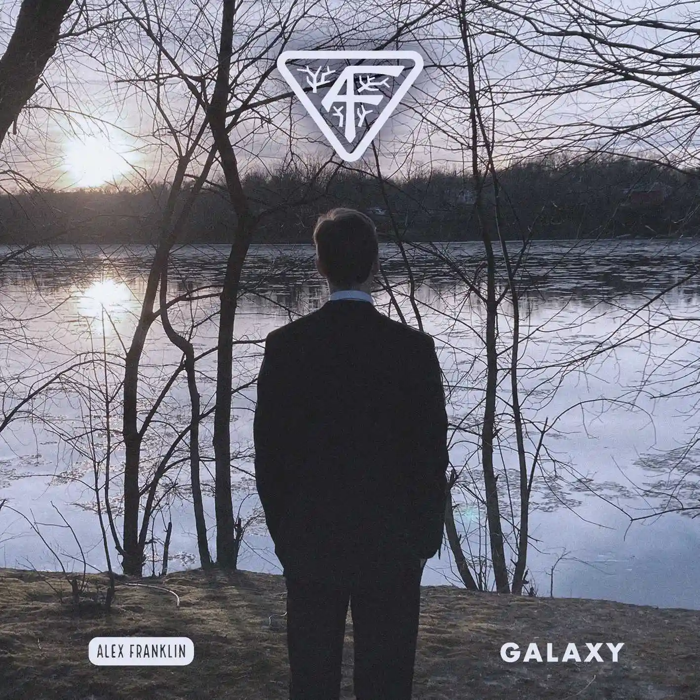 Album cover for “Galaxy” by Alex Franklin