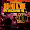 Cover art for “Background Music For A Barbecue (Featuring Cheese N Pot-C)” by Donnie Ozone