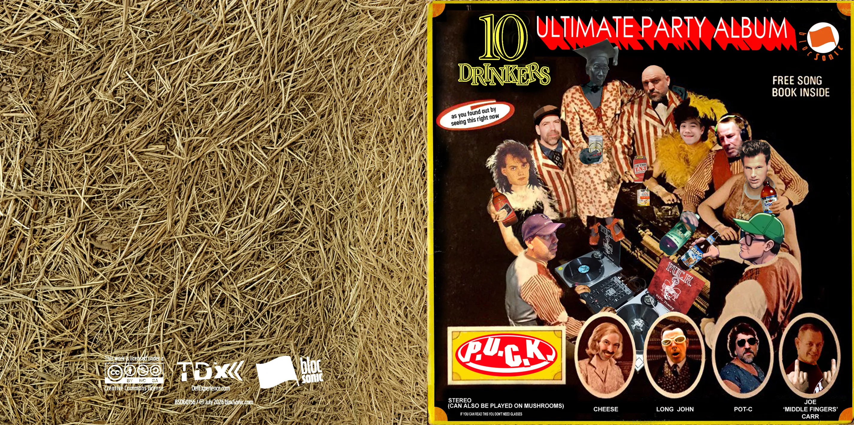 Album insert art for “Ultimate Party Album” by P.U.C.K.