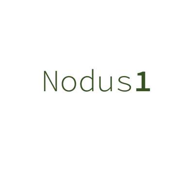 Profile photo for music artist Nodus1