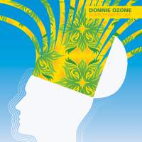 Cover of “Something To See” by Donnie Ozone