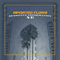 Cover of “Sensitive Information XE” by Mported Flows